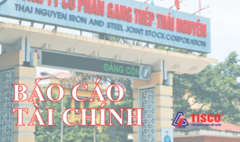 báo cáo tài chính gang thép thái nguyên quý 2